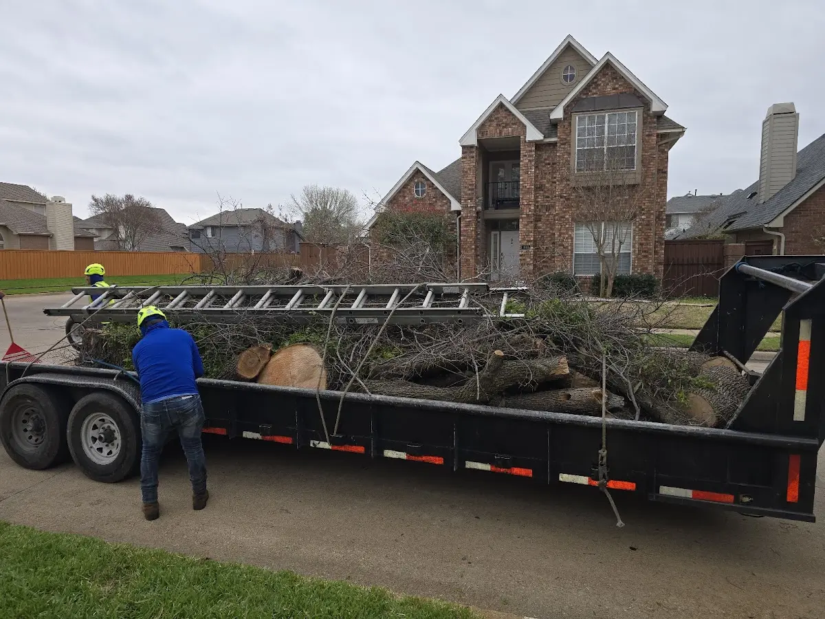 Expert Tree Fertilization with proper safety equipment in Leeper